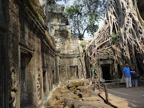 angkor ta prohm siem reap kambodża