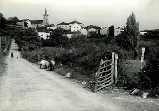 basse navarre autrefois