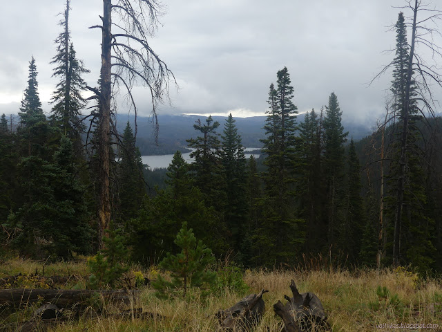 063: lake below through the trees