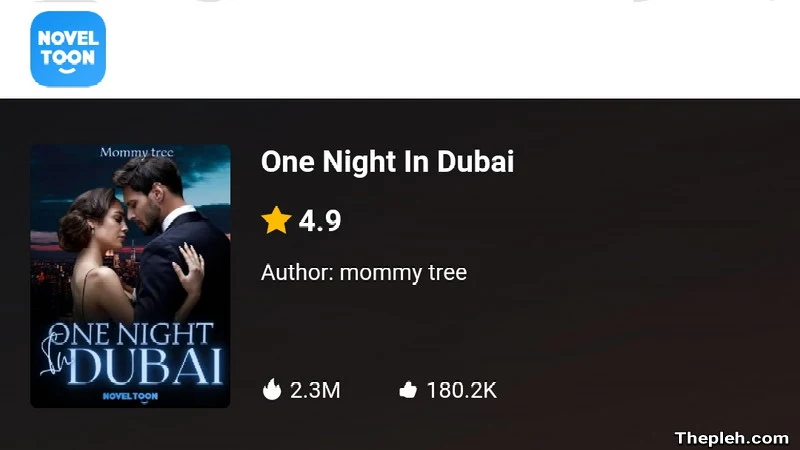 Novel One Night In Dubai Full Bab
