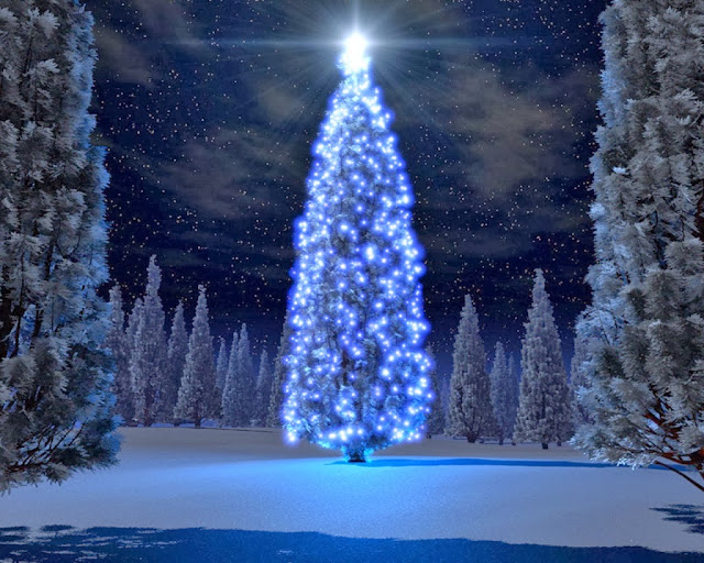 Beautiful Festival Christmas Tree Wallpapers