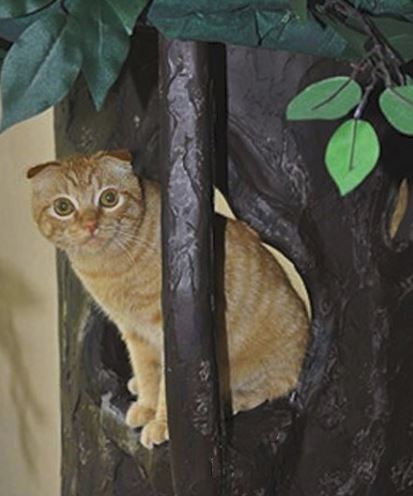 Unique Cat Trees