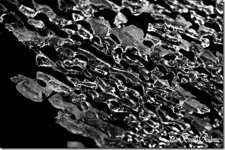 bw_20120211_is