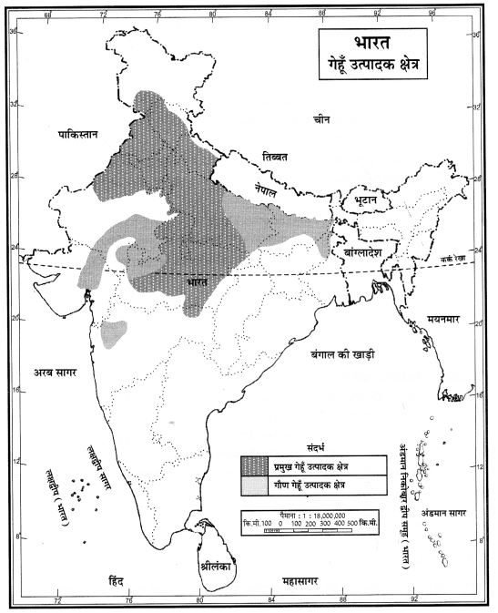 NCERT Solutions for Class 10 Social Science