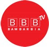BamBarBia TV live streaming