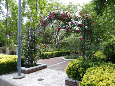 花博記念公園鶴見緑地のバラ園