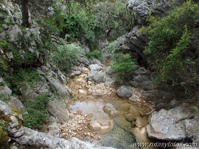 Barranco del Arroyo del Pajaruco