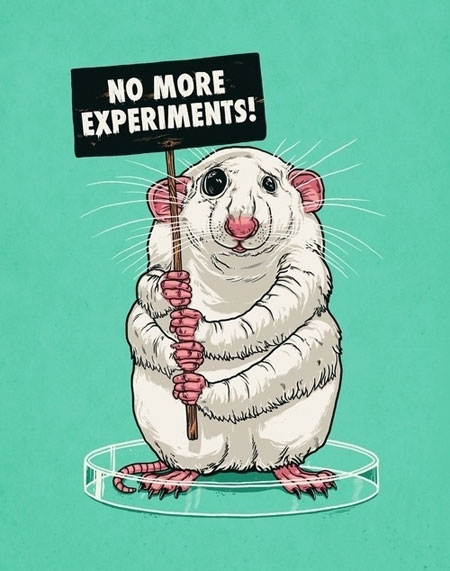 no more experiments