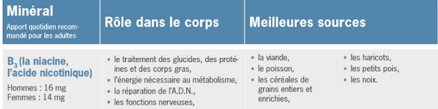 vitamine B3 niacine PP