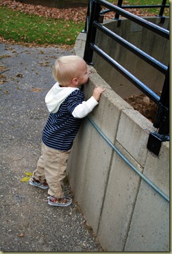 zoo 36