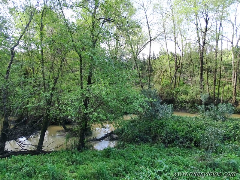 Senderos de Castellar