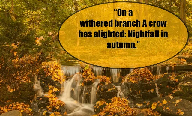 Autumn Quotes to remind you about autumn weather