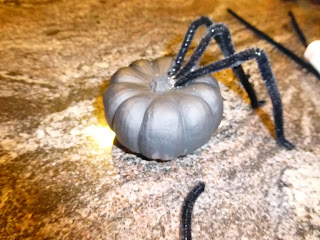 diy, painted pumpkin, spider, craft