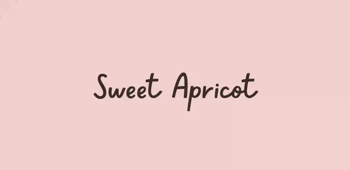 sweet apricot top cursive fonts for microsoft word users on canva