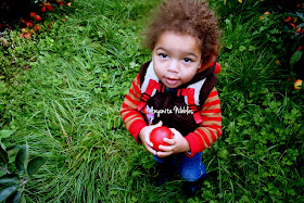 Callum with his Cheshire Discovery Apple from www.anyonita-nibbles.com