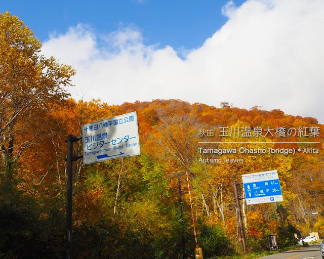 玉川温泉大橋から見る紅葉