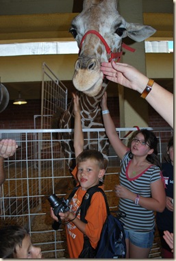 JB and giraffe