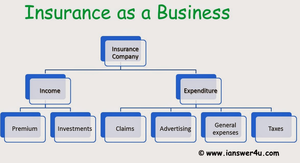 Roles of Insurance ~ I Answer 4 U