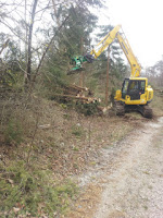 gozdarska dejavnost v Sloveniji