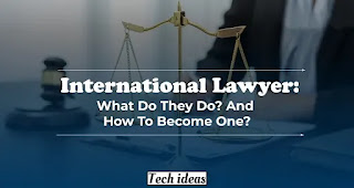 The World of Law: Exploring the Role of Lawyers