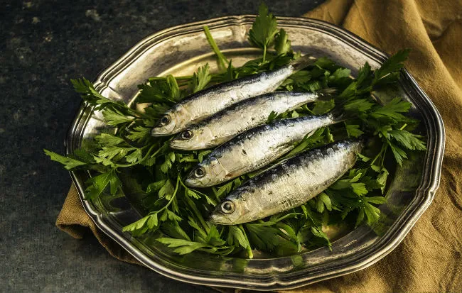 Sardine, pesci con tanti omega 3