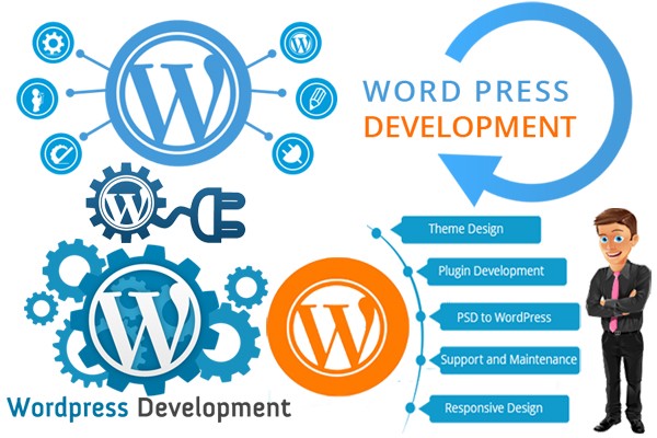 Wordpress Website Design Services Khanewal