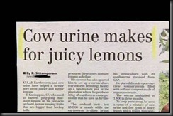 cowurine