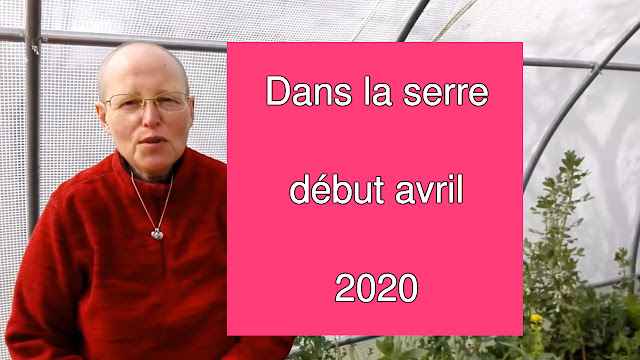 Dans la serre début avril 2020 (vidéo)