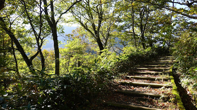 鳥取県西伯郡大山町大山 寂静山登山道