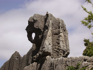 Elephant Rock di Hutan Batu Shilin China