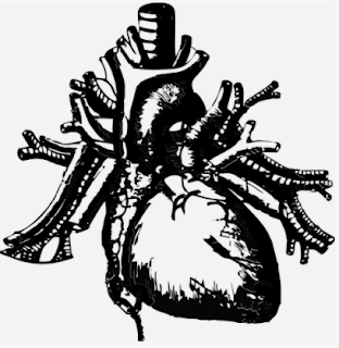 cardiac pathology