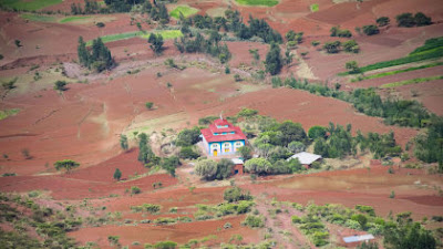 Hutan Gereja Ethiopia  Adalah  Oase Hijau Terakhir ROJIALHAQY