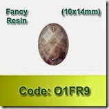 O1FR9 copy