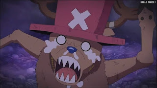 ワンピースアニメ スリラーバーク編 339話 チョッパー Tony Tony Chopper | ONE PIECE Episode 339