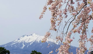 弘前城からの岩木山