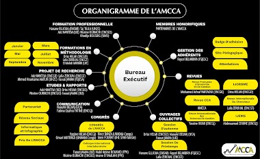 Organigramme de l'AMCCA 