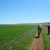 Ruta del Espejuelo, las minas de lapis specularis.