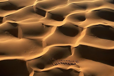 Beautiful Bird's-Eye Photos by Yann Arthus-Bertrand Seen On www.coolpicturegallery.us