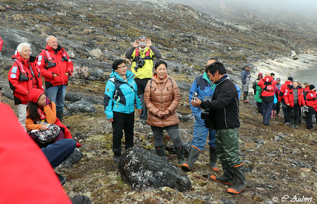 Kullorsuaq, Groenland, icebergs