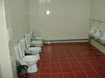 unusual toilets