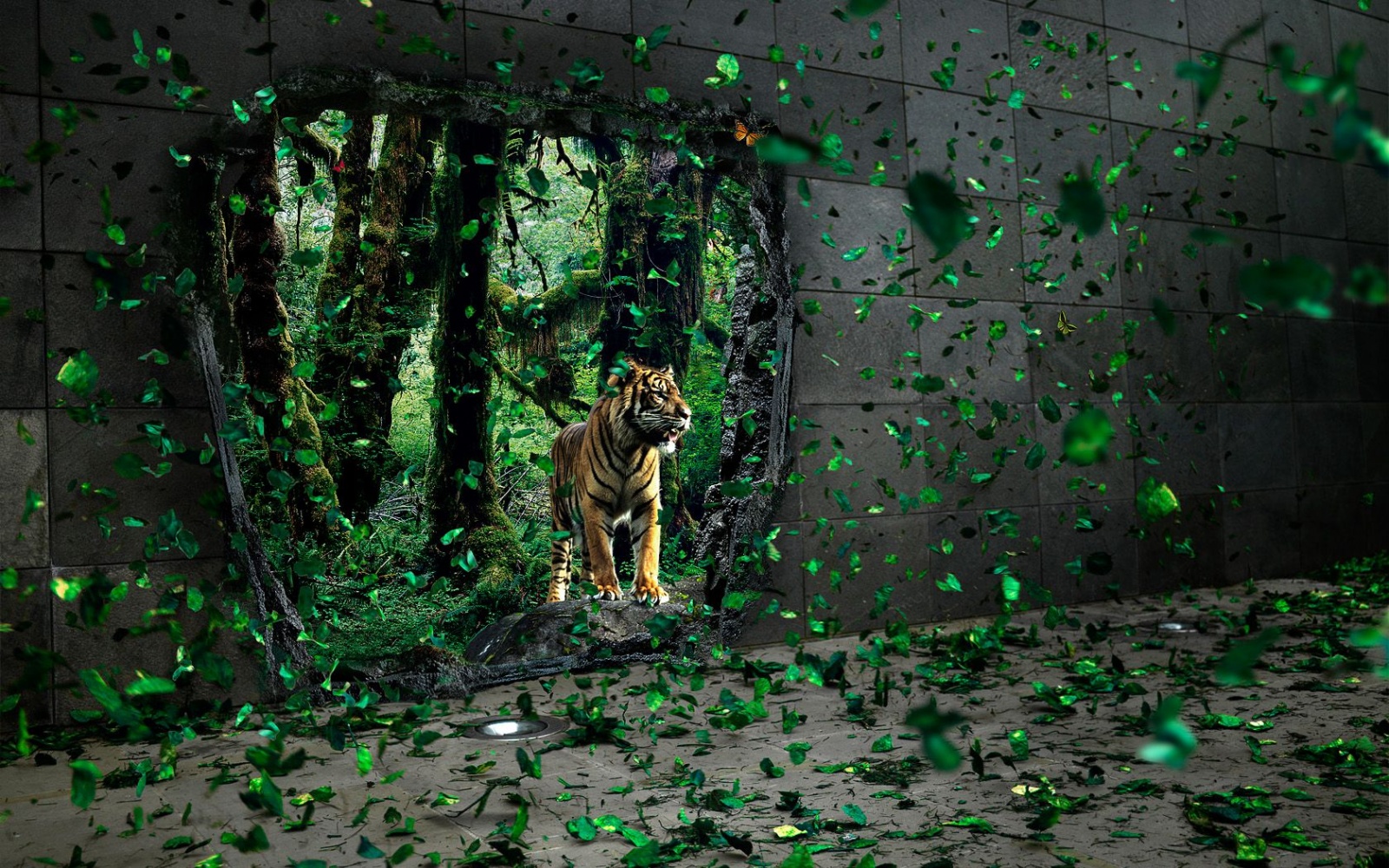 Best Desktop HD Wallpaper: Tiger HD wallpapers