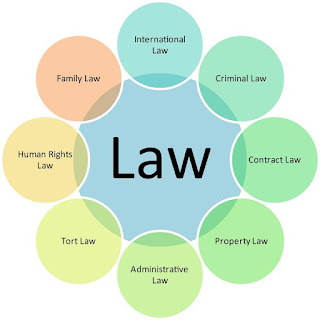 Different Types of Lawyers & What They Do