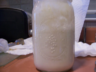 sourdough starter