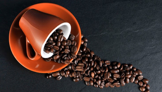 Jenis kopi robusta, liberika dan arabika