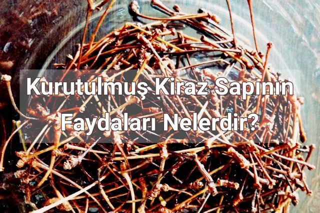 Kurutulmuş Kiraz Sapı Çayı Nasıl Yapılır? Neye İyi Gelir? Zayıflatır mı?