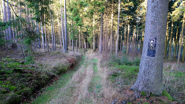 Sauerland wandern Wetter blog Arnsberg X13 Hanseweg