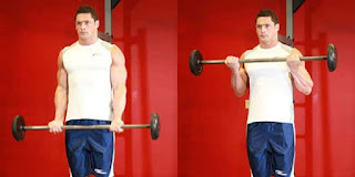  BARBELL CURL