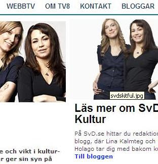 SvD Kultur på TV8