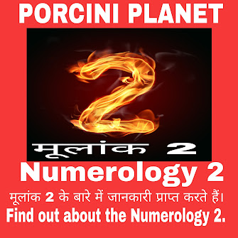 मूलांक 2 । Numerology 2 । मूलांक 2 के बारे में जानकारी प्राप्त करते हैं। Find out about the Numerology 2 ।