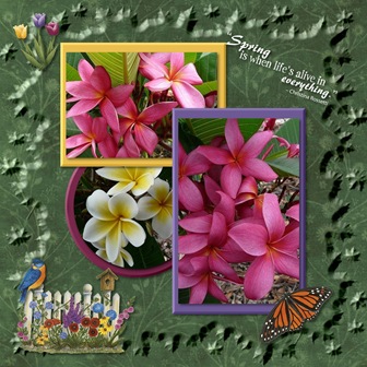 flowers - spring - Page 011